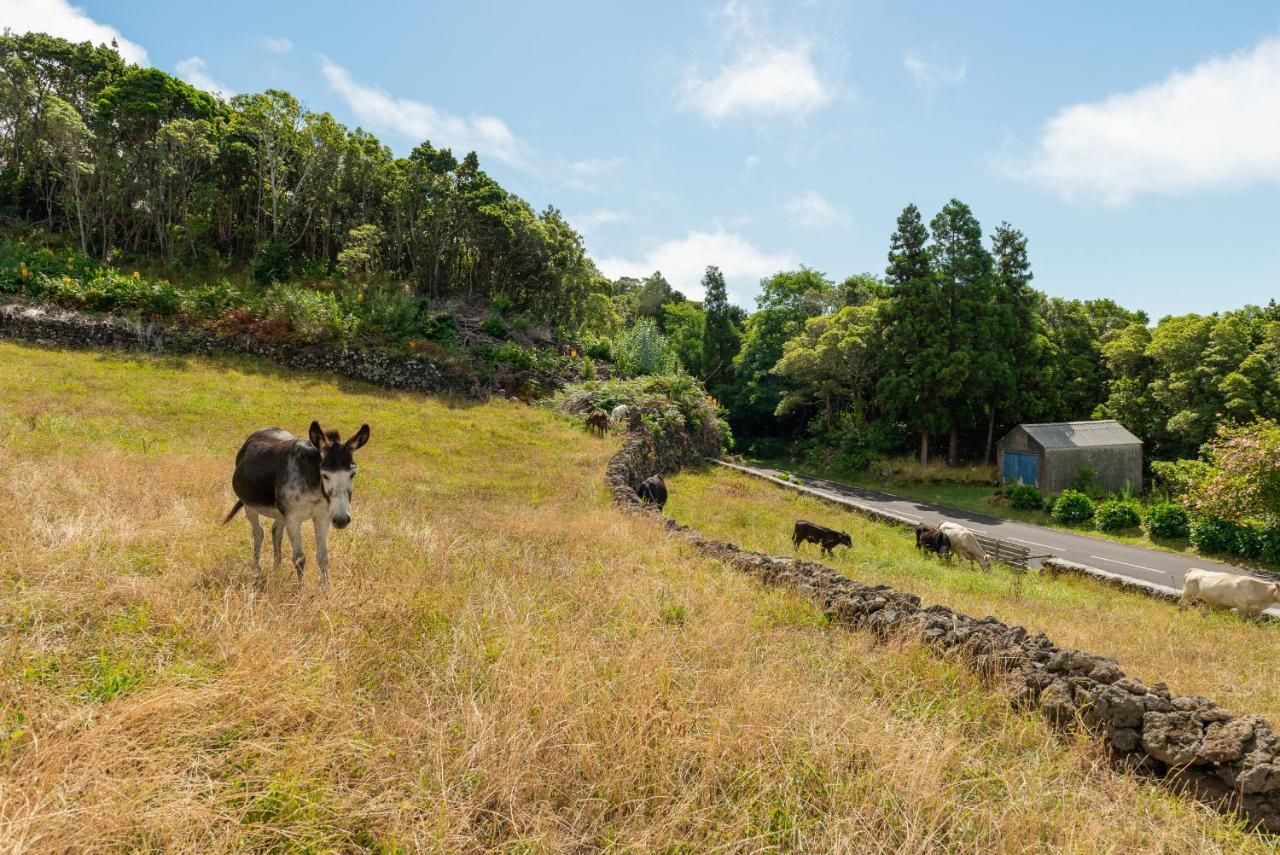 Вілла Casa Da Figueirinha Calheta de Nesquim Екстер'єр фото